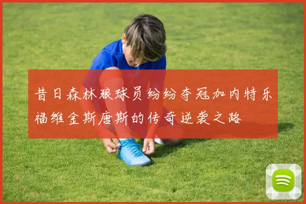 昔日森林狼球员纷纷夺冠加内特乐福维金斯唐斯的传奇逆袭之路