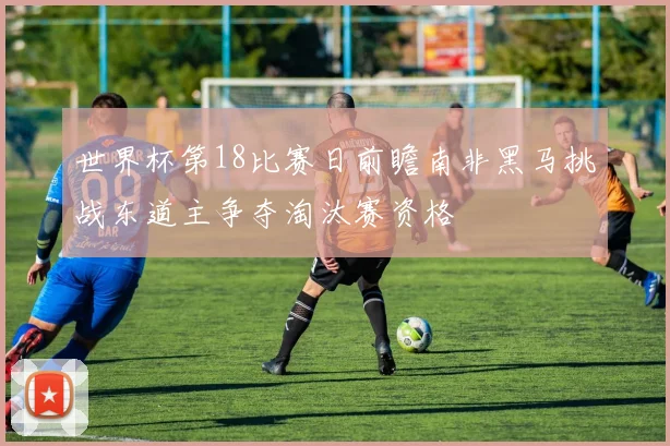 世界杯第18比赛日前瞻南非黑马挑战东道主争夺淘汰赛资格